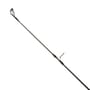 Advanta Carp Fishing Rod 10ft 3.5lbs Tip