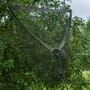 Advanta Discovery CX Rover Landing Net In Use 2