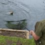Advanta Discovery CX Rover Landing Net In Use