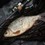 Advanta Discovery RVS Fishing Rod Twin Tip Lite In Use 3