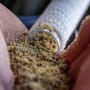Advanta Endurance PVA Mesh System 7m In Use 9
