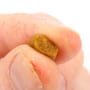 Advanta N-Fused Soft Hookable Pellets 6mm Close Up 6