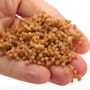 Advanta N-Fused Method Ready Pellets Sweet Banoffee F1 5