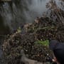 Advanta Specimen Twin Tip Rod In Use 5