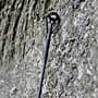 Ashima FFX-D Carp Rod 3