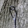 Ashima FFX-P Carp Rod 2