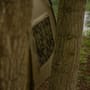 Avid Carp Exo+ Bivvy Close Up 5