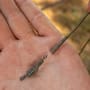 Avid Carp Outline FleckTone Fused QC Lead Clips