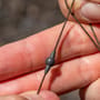 Avid Carp Outline Tungsten Leader Heli Beads