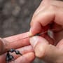 Avid Carp Outline Tungsten Naked Heli Beads