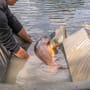Avid Carp Pro-Tect Deluxe Cradle 9