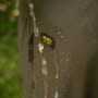 Avid Carp Revolve Waterproof Suit 6