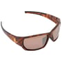 Avid Carp Seethru TSW Polarised Sunglasses
