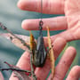 Avid Carp Substrate Marker Leads