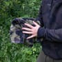 Avid Carp Hand Towel In Use 1