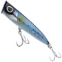 Sardine