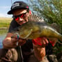 Berkley Pulse Spintail Lure 21g In Use 5