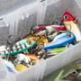 Berkley Pulse Spintail Lure 9g Close Up 1