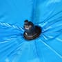 Brollnets Match Plus Flatliner Brolly Close Up 1