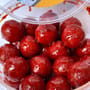Catfish Pro Spicy Mack Boilies Tub 2