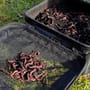 Cresta EVA Fishing Bait Bag Micro Mesh Large In Use 2