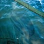 Cygnet Sniper Landing Net 2-Piece 6
