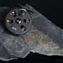 Daiwa D Trout Fly reel