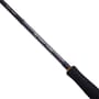 Daiwa BG Sea Bass Rod