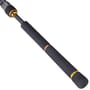 Daiwa BG Sea Bass Rod