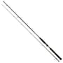 Daiwa BG Sea Bass Rod