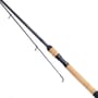Daiwa Black Widow Barbel Fishing Rod