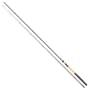 Daiwa Black Widow Barbel Fishing Rod Sections 1