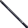 Daiwa Black Widow Barbel Rod