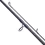 Daiwa Black Widow Barbel Rod