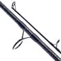 Daiwa Black Widow Catfish Rod