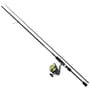 Daiwa D-Spin Rod & Reel Combo