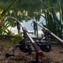 Daiwa Emcast Carp Fishing Rods In Use 6