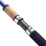 Daiwa N'Zon Distance Special Power Feeder Rod