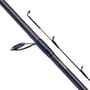 Daiwa N'Zon Pro Staff Feeder Rod