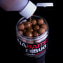 DNA Baits Bait Soak 250ml Crayfish