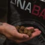 DNA Baits Shelf Life Boilies SLK