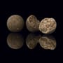 DNA Baits Shelf Life Boilies SLK