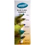 Dragon Blue Flash Damsels