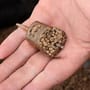 Drennan Fishing Pellet Feeder In Use 3