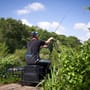 Drennan Vertex 11ft Pellet Waggler Fishing Rod In Use 4