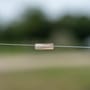 Nash Run Lead Clip Zig Fishing Float Kit In Use 2
