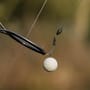Sticky Baits AD Plumz Pop Ups 16mm In Use 15
