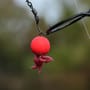 Sticky Baits AD Plumz Pop Ups 16mm In Use 19