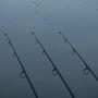 Advanta Carp Fishing Rod In Use 4