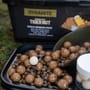 Dynamite Baits Session Pack - Monster Tiger Nut